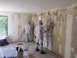 Mold Remediation for Rental Properties in Nogales, AZ